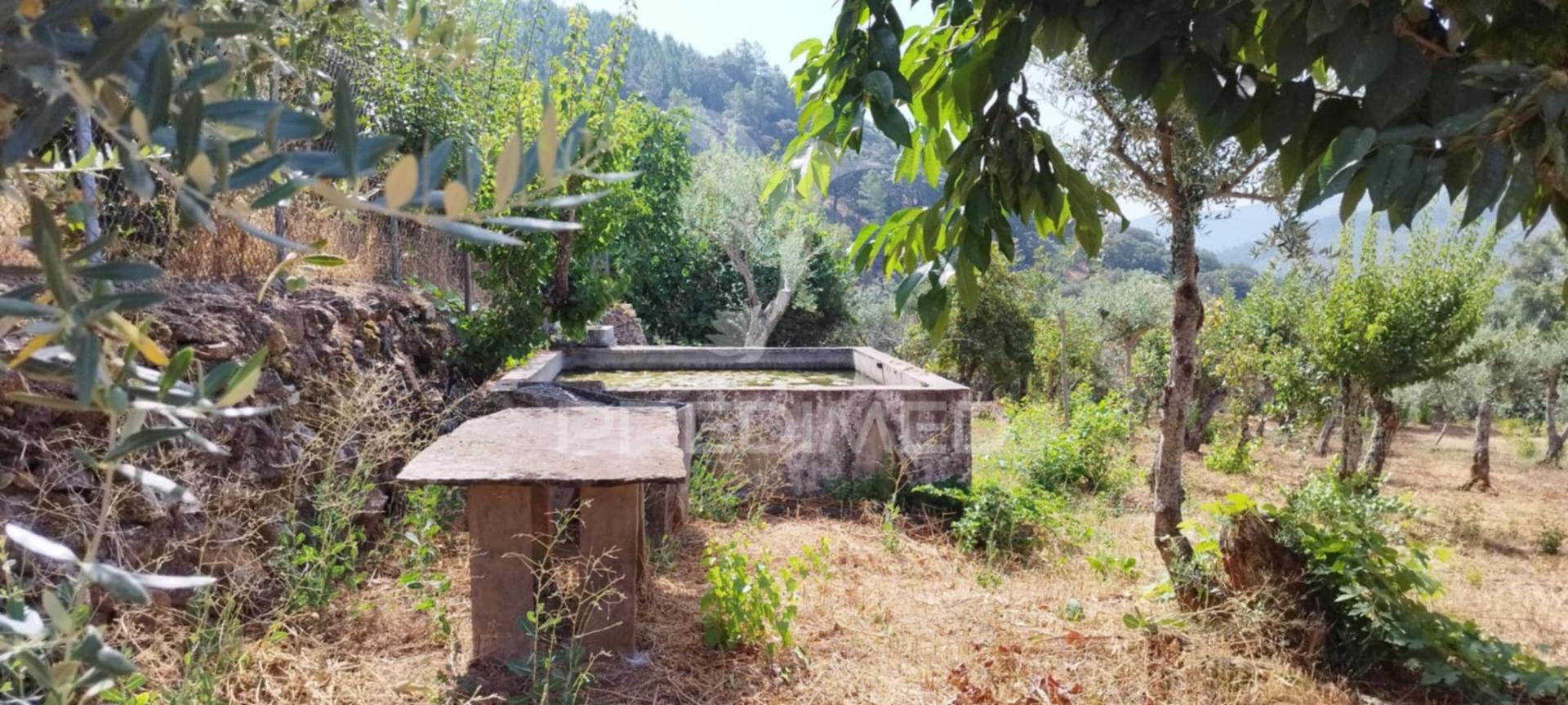 Quintinha em s julião