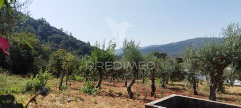 Quintinha em s julião