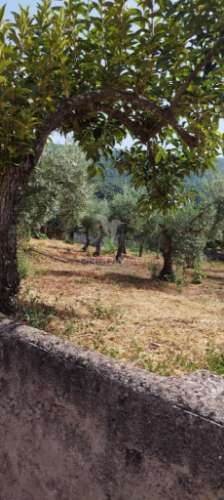 Quintinha em s julião