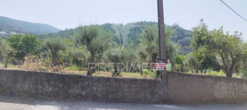 Quintinha em s julião