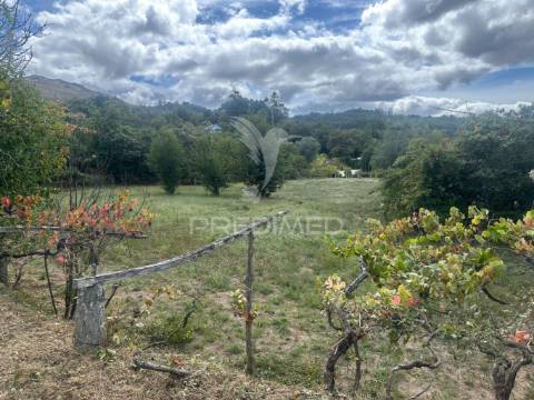 Terreno à venda em ponte de lima com cerca de 10.100 m²