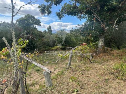 Quinta rural em ponte de lima – moradia t6 com 15.000 m² de terreno