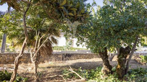 Moradia t2 a 5 minutos de alcobaça