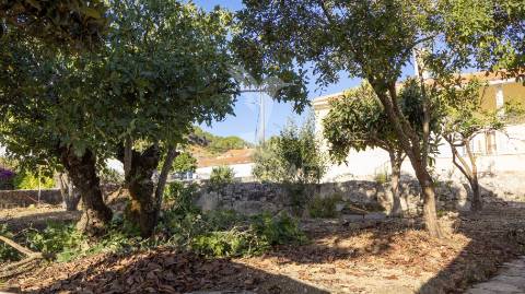 Moradia t2 a 5 minutos de alcobaça