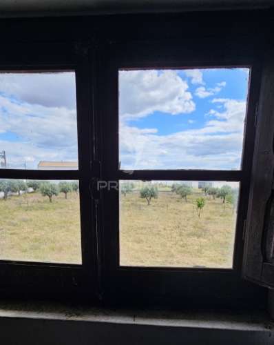 Restaurante- bar moagem