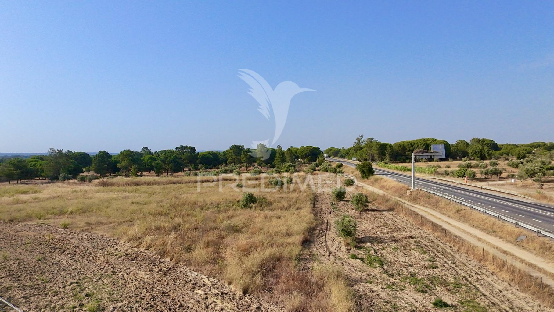 Terreno com 18.000 m² em alcácer do sal