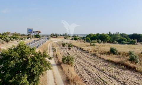 Terreno com 18.000 m² em alcácer do sal