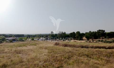 Terreno com 18.000 m² em alcácer do sal