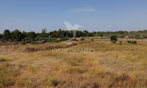 Terreno com 18.000 m² em alcácer do sal