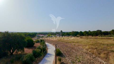 Terreno com 18.000 m² em alcácer do sal