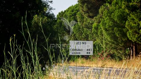 Terreno com 18.000 m² em alcácer do sal