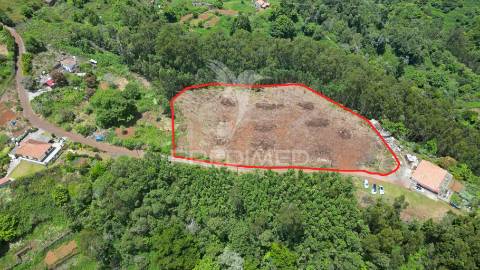 Terreno 7.220 m² plano no santo da serra – ideal para turismo rural, quintas e cavalos