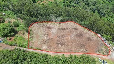 Terreno 7.220 m² plano no santo da serra – ideal para turismo rural, quintas e cavalos