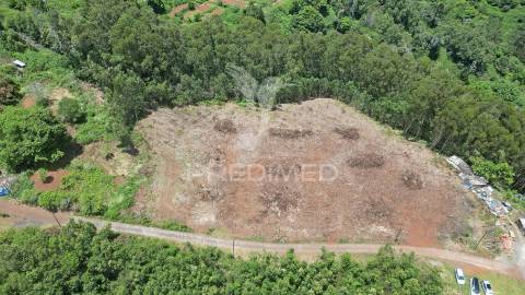 Terreno 7.220 m² plano no santo da serra – ideal para turismo rural, quintas e cavalos