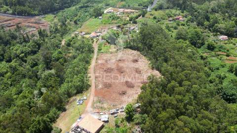 Terreno 7.220 m² plano no santo da serra – ideal para turismo rural, quintas e cavalos