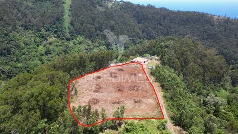 Terreno 7.220 m² plano no santo da serra – ideal para turismo rural, quintas e cavalos