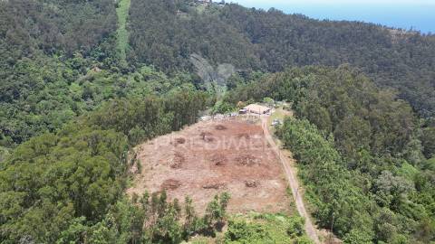 Terreno 7.220 m² plano no santo da serra – ideal para turismo rural, quintas e cavalos