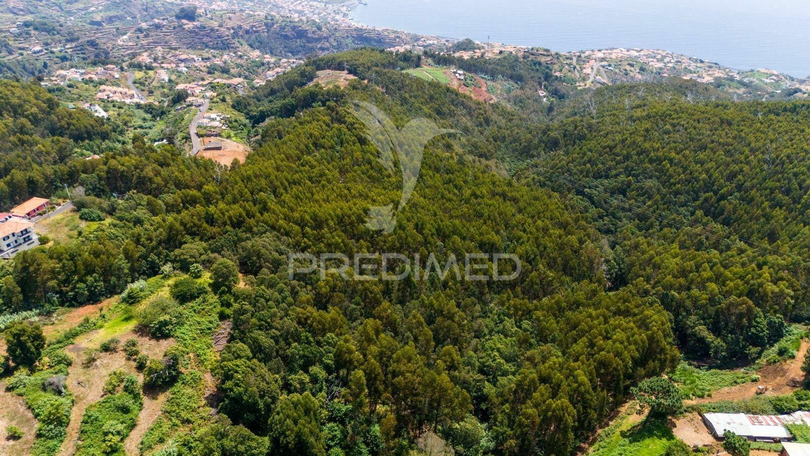 Terreno rústico - ideal para projeto agrícola