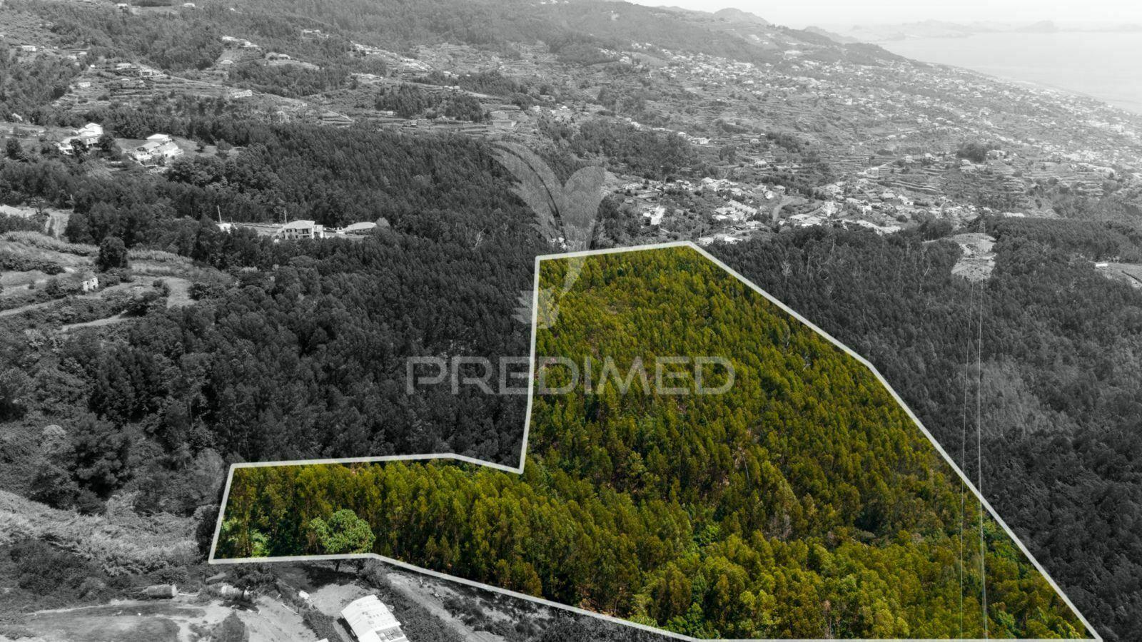 Terreno rústico - ideal para projeto agrícola