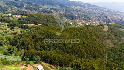 Terreno rústico - ideal para projeto agrícola