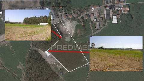 Terreno em guilhabreu