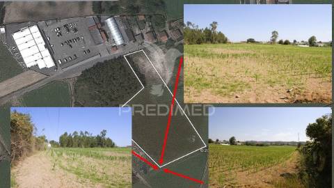 Terreno em guilhabreu