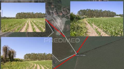 Terreno em guilhabreu