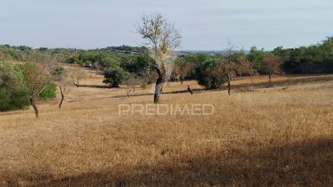 Terreno rustico vista mar alcaria cova estoi