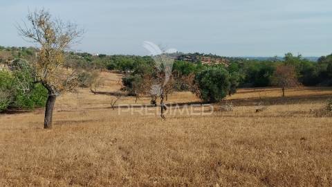 Terreno rustico vista mar alcaria cova estoi