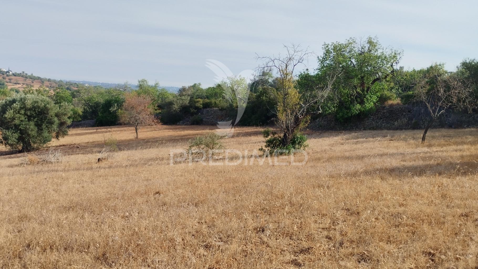 Terreno rustico vista mar alcaria cova estoi