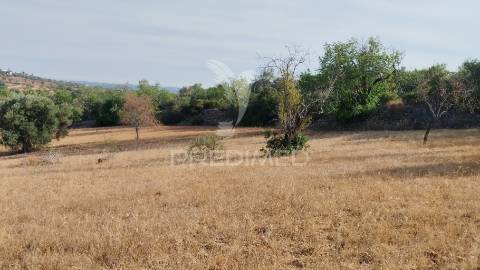 Terreno rustico vista mar alcaria cova estoi