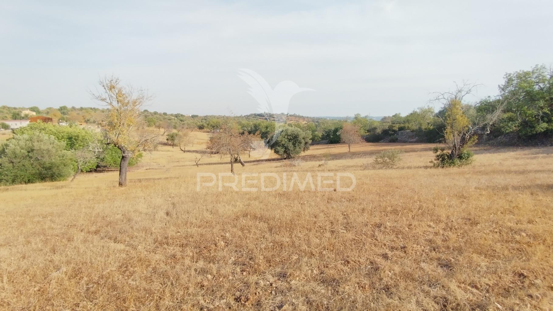 Terreno rustico vista mar alcaria cova estoi