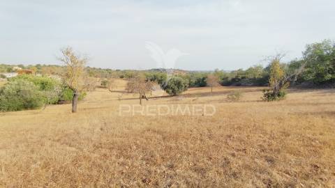 Terreno rustico vista mar alcaria cova estoi