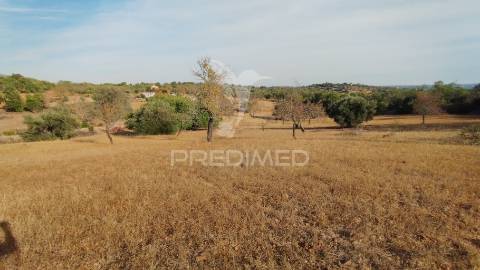 Terreno rustico vista mar alcaria cova estoi