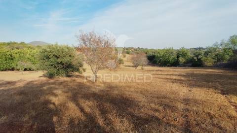 Terreno rustico vista mar alcaria cova estoi