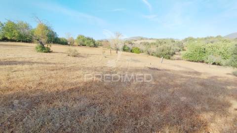 Terreno rustico vista mar alcaria cova estoi