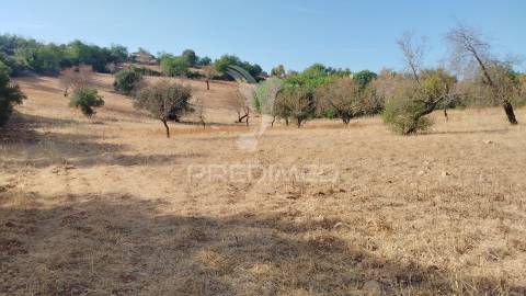 Terreno rustico vista mar alcaria cova estoi