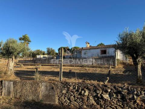 Quintinha em zona muito calma e tranquila.