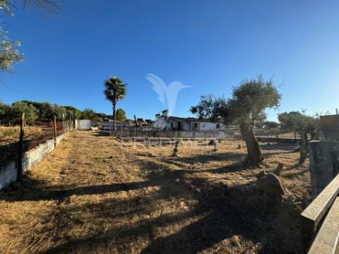 Quintinha em zona muito calma e tranquila.