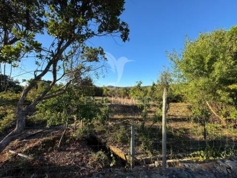 Quintinha em zona muito calma e tranquila.