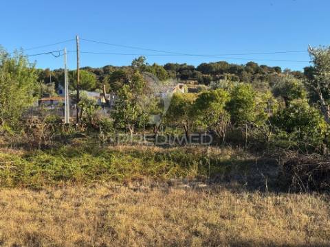 Quintinha em zona muito calma e tranquila.