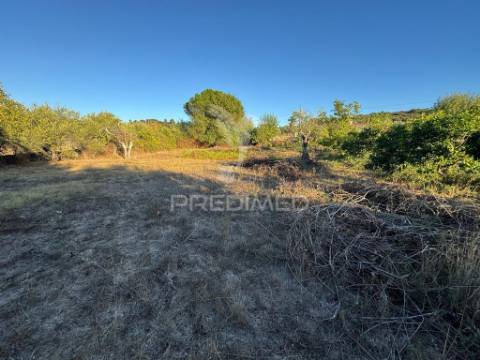 Quintinha em zona muito calma e tranquila.
