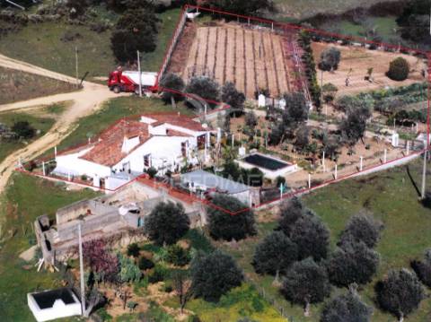 Pequena quinta em zona muito calma e tranquila.