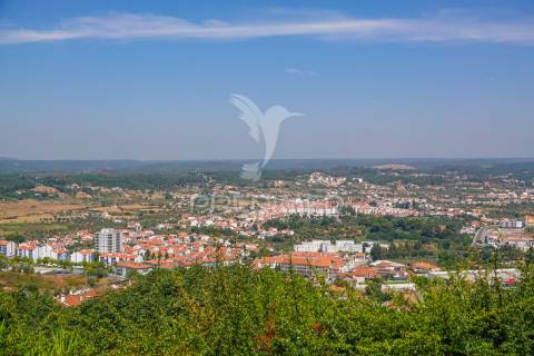 Lote para construção de moradia, localizado em abrantes.