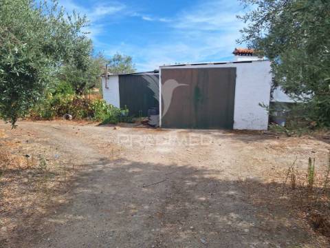 Quintinha t2 em caia