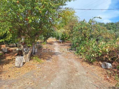 Quintinha t2 em caia