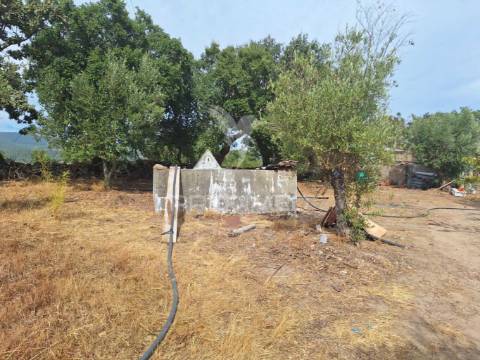 Quintinha t2 em caia