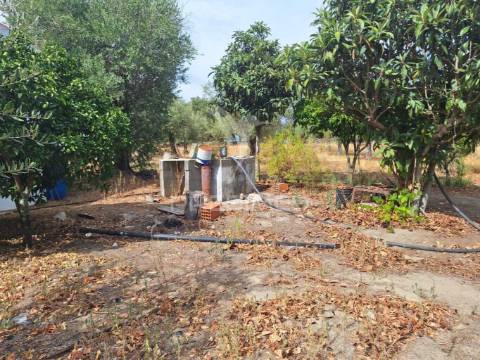 Quintinha t2 em caia