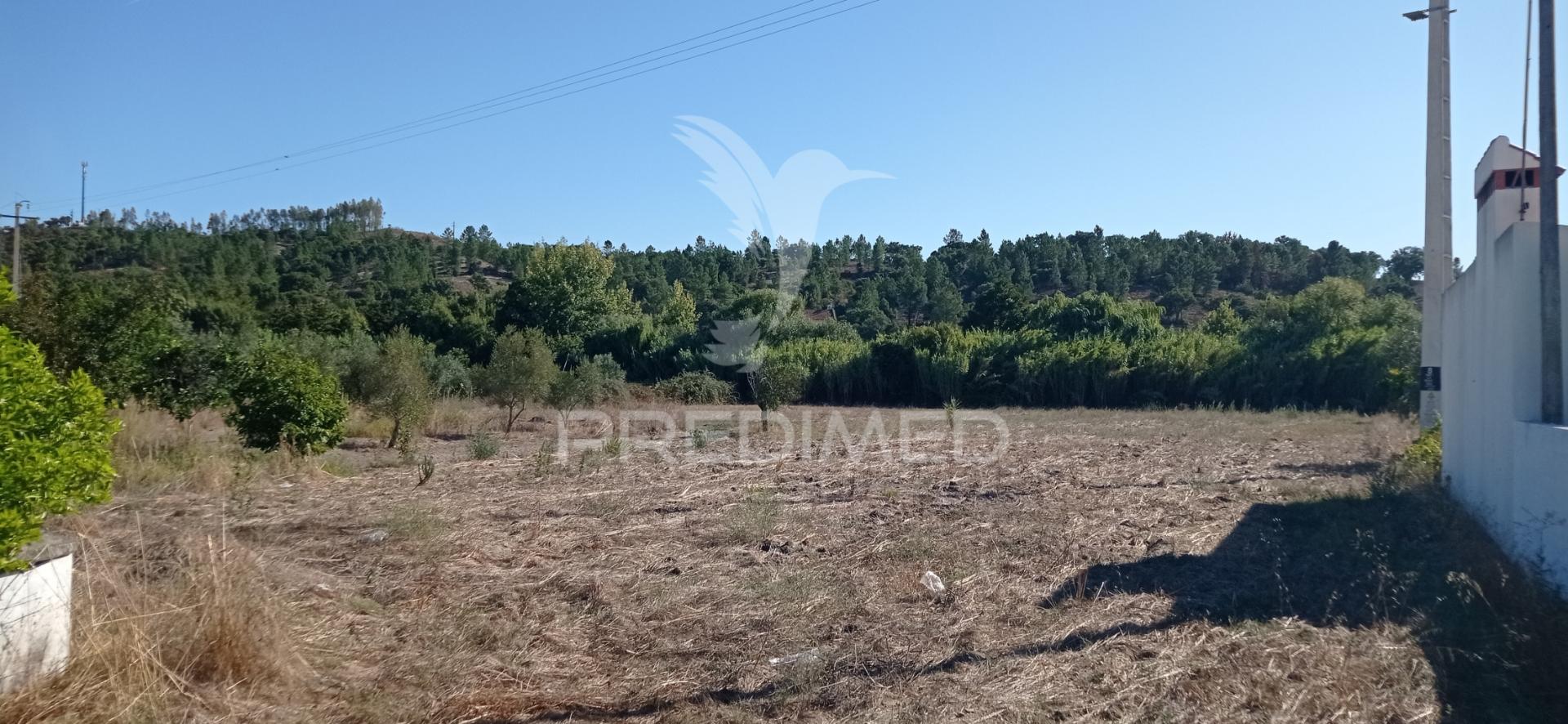 Terreno rústico c/ viabilidade de construção, bemposta- abrantes