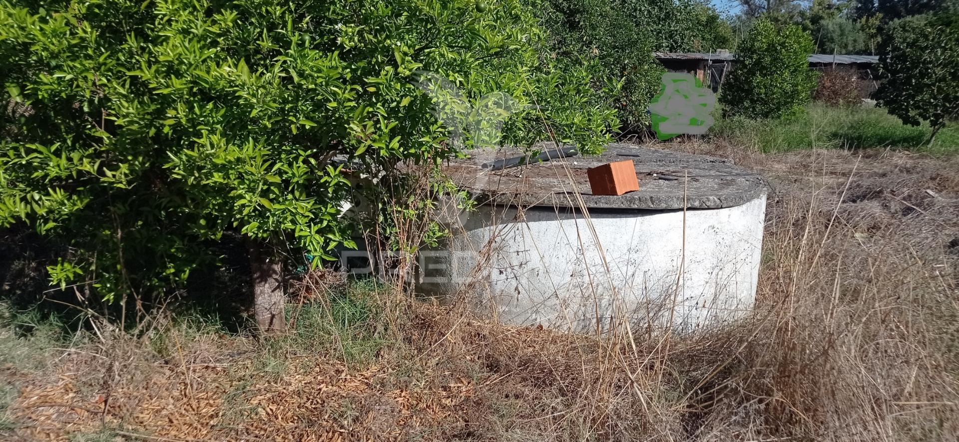 Terreno rústico c/ viabilidade de construção, bemposta- abrantes